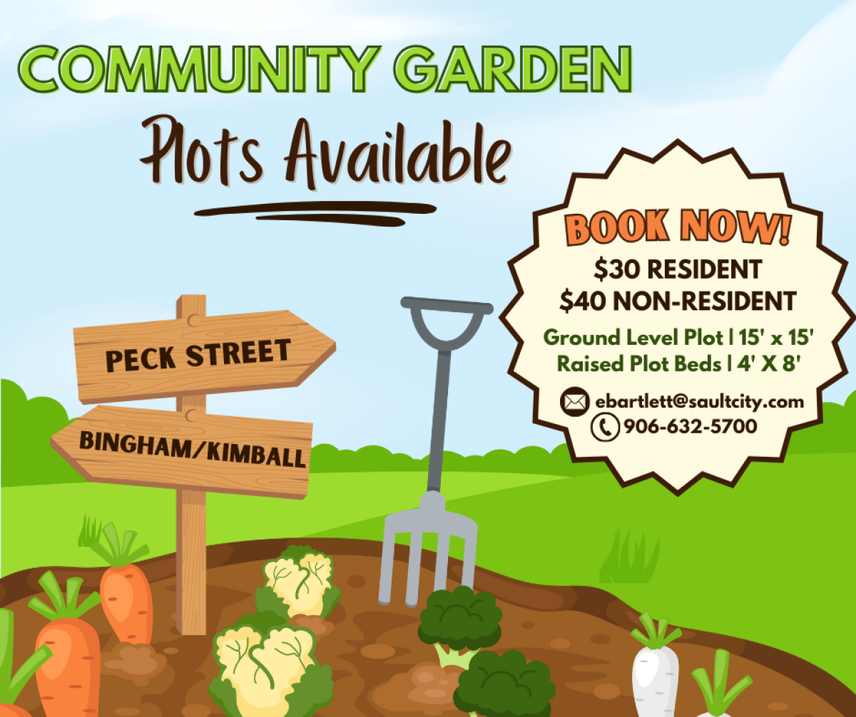 Community Garden 2024