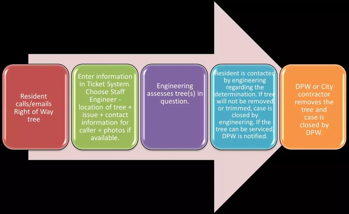tree_policy_graphic.jpg